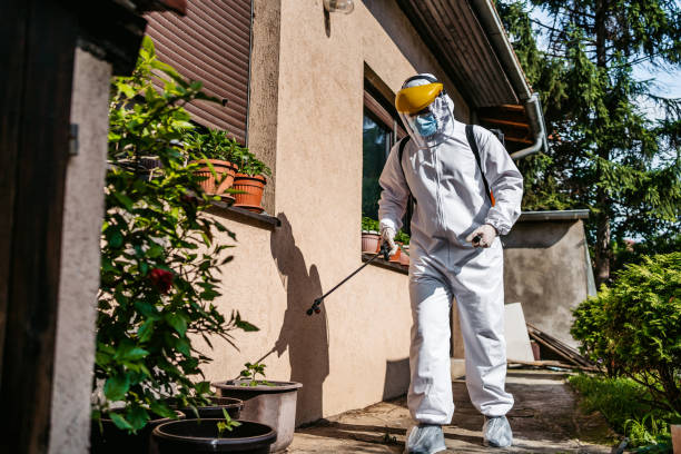 Best Bed Bug Extermination  in Fairfield, TX