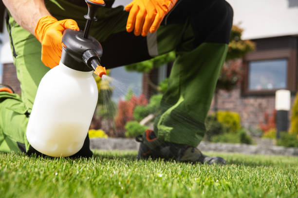 Best Pest Inspection Near Me  in Fairfield, TX